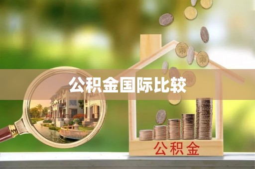 公告公积金国际比较