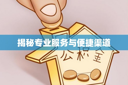 公告揭秘专业服务与便捷渠道