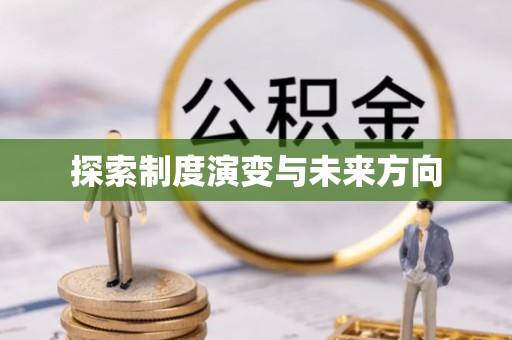 公告探索制度演变与未来方向