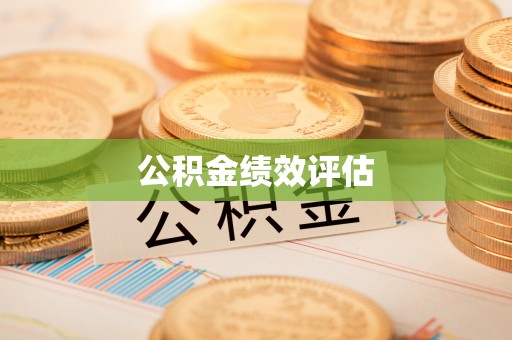 公告公积金绩效评估
