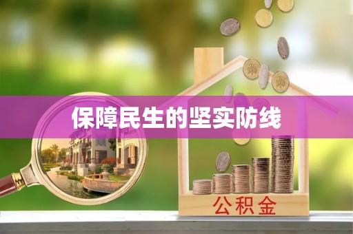 公告保障民生的坚实防线