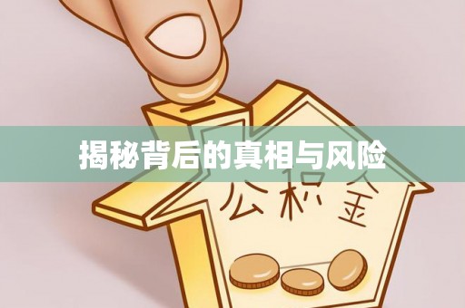 公告揭秘背后的真相与风险