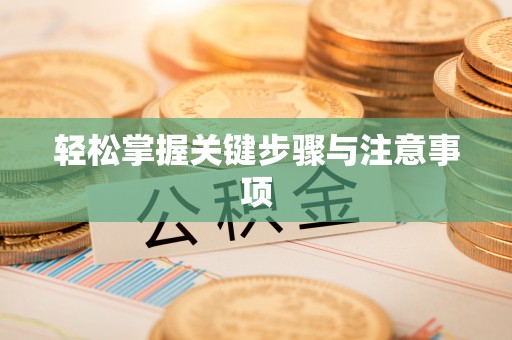 公告轻松掌握关键步骤与注意事项